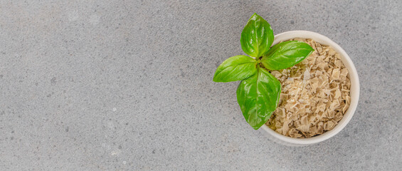 Spices and seasonings. Basil salt garlic, cooking background. menu copy space, top view