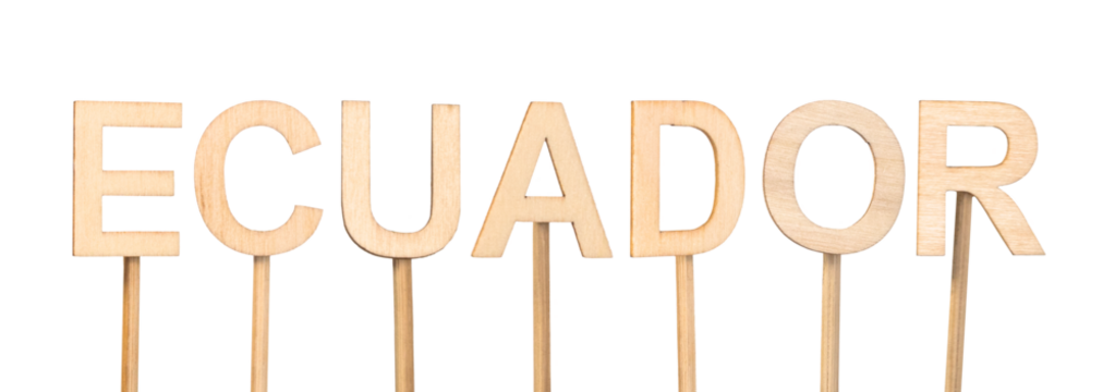 Wooden letters forming the word Ecuador, held by sticks on white background. Latin American countries.