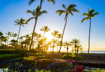 Morning Sunlight on Lagoon and Palm Trees at Resort Hotel on Shipwreck Beach, Poipu, Kauai, Hawaii, USA