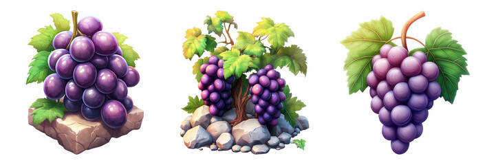 Obraz premium Grapes Collection on Transparent Background