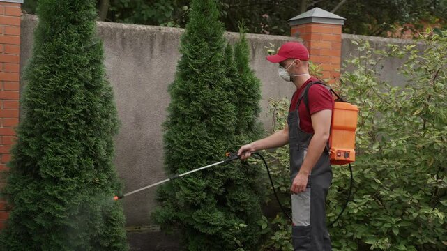 Man wearing a red hat and a red shirt is spraying a plant with a spray bottle