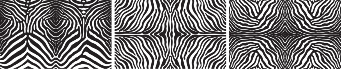 Zebra Print Texture Skin pattern design vector illustration.