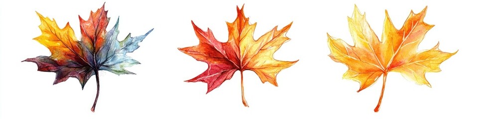 Fall Foliage. Vibrant Watercolor Maple Leaves in a Horizontal Panoramic Layout