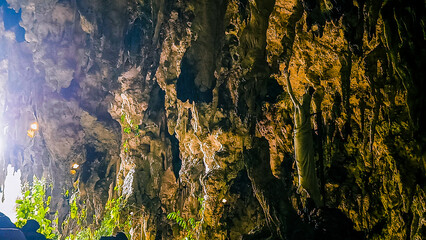 A rocky cliff with green plants growing on it