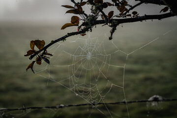Driving around Gairloch on the NC500 Scotland