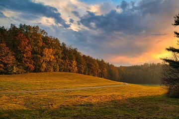 Herrnhut, Oberlausitz, Langsamer Tod, Herbst, Wald, Sonnenuntergang