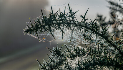 Driving around Gairloch on the NC500 Scotland
