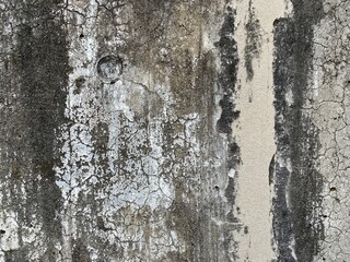 劣化したコンクリート壁。建築後50年以上過ぎた建物。補修の痕跡。