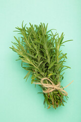 Fresh rosemary bunch on mint background. Vertical photo