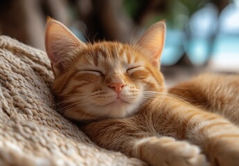 Naklejka premium Portrait of a Happy, Smiling Ginger Cat Sleeping in a Hammock on a Tropical Beach, Vacation Concept 