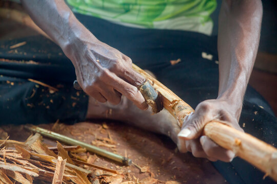 This is a picture of Ceylon cinnamon pealing. It shows Sri Lankan authentic cinnamon, true cinnamon sticks rolling, Pure Ceylon cinnamon, and the cinnamon pealing process.