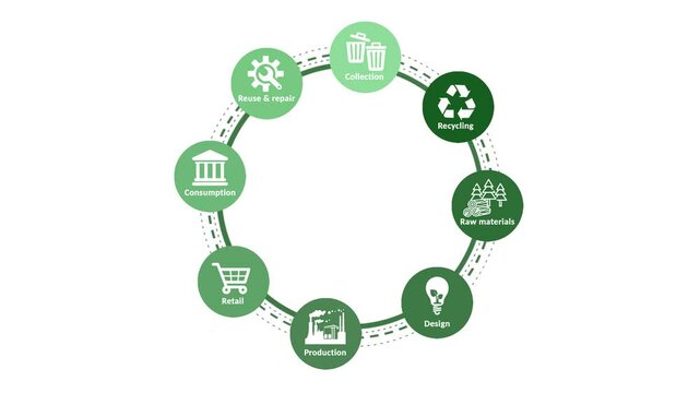 Circular economy phases diagram isolated on white background.Circular economy concept for future business growth and environmental sustainability and reduce pollution.Place for logo or text