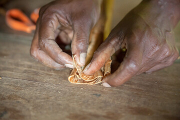 Ceylon cinnamon making picture. Sri Lankan authentic cinnamon. True cinnamon sticks rolling. Pure Ceylon cinnamon. Cinnamon rolling process.