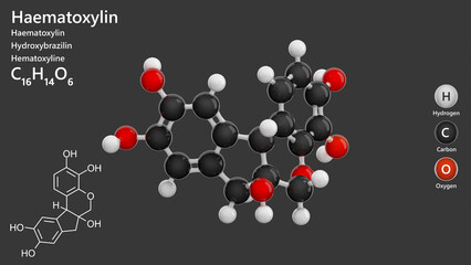 Molecule: Haematoxylin. Natural dye. Molecular structure. Formula: C16H14O6. Chemical model: Ball and stick. Gray background. 3D illustration.