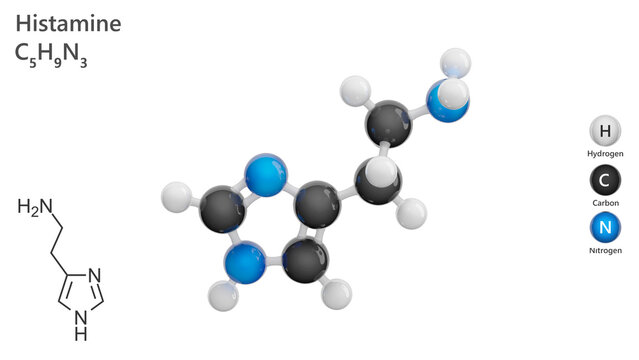 Molecule: Histamine. Stimulant of gastric secretion. Molecular structure. Formula: C5H9N3. Chemical model: Ball and stick. White background. 3D illustration.
