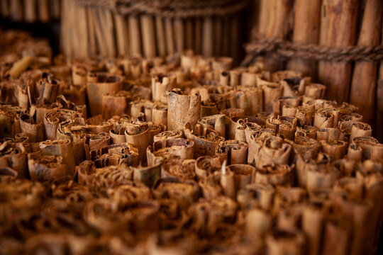 Ceylon cinnamon bulk picture. Sri Lankan authentic cinnamon. True cinnamon sticks. Pure Ceylon cinnamon. Close up.
