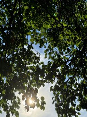 beautiful sky under sunny sky
