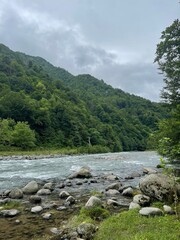 river in the forest and nature