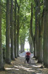 Obraz premium frau mit rollator unterwegs