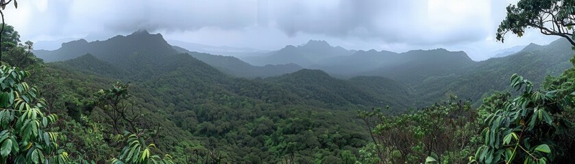 Fototapeta premium A panoramic view of a lush green forest with mountains in the background