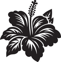 black and white hibiscus flower isolated