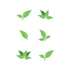 A collection of green leaves and leaves from the plant free download