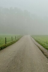 road leading to foggy forest