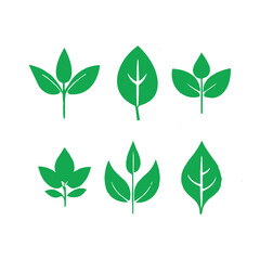 A collection of green leaves and leaves from the plant free download