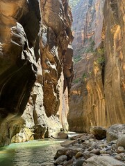Sunlit Slot Canyon in Zion National Park