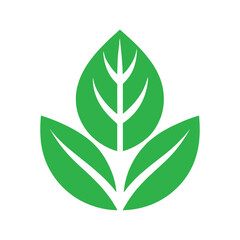 A collection of green leaves and leaves from the plant free download