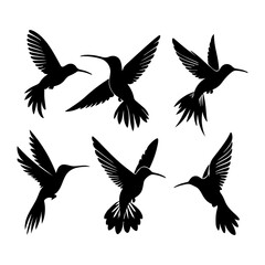 Hummingbirds Silhouette Set  Vector Art illustration with a white background