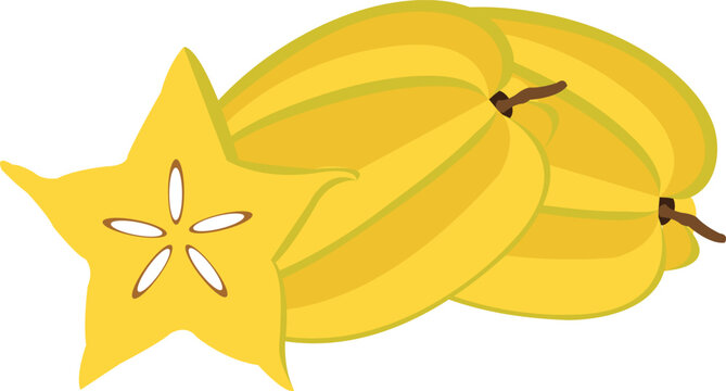 carambolo which is also translated as star fruit a sweet and sour fruit hand drawn flat design illustration