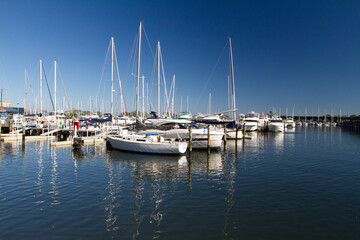 boats in marina