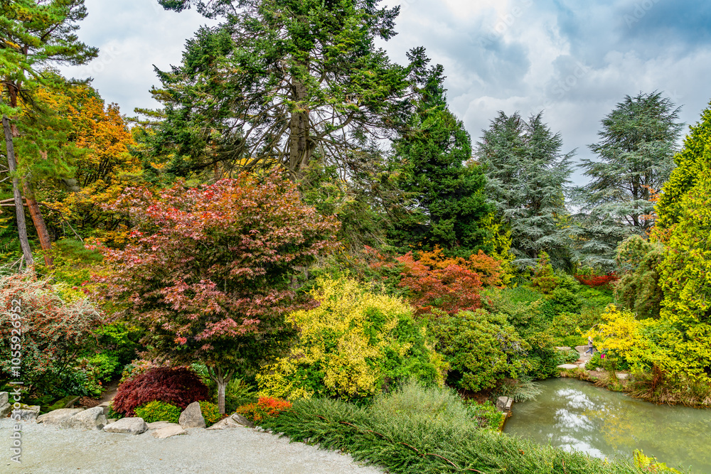 Wall mural Kubota Gardens Fall Landsscape