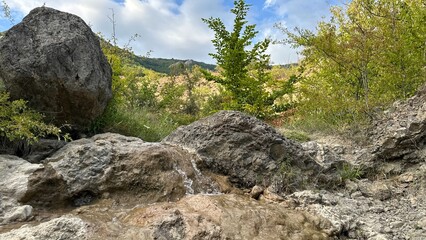 rocks and firtree in the mountains