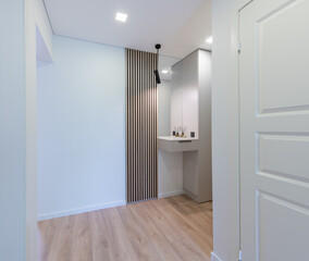 Home Entrance Hall, Hallway Interior. Wooden Outdoor Door, Brown Flooring. Minimalism. LED Light. Closet, Wardrobe on the Left. Mirror