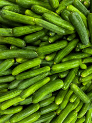 Many green fresh cucumbers as background