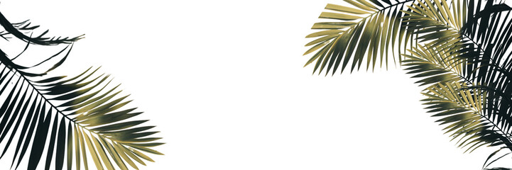 Fototapeta premium Set of Shadows of palm leaves isolated on a transparent background