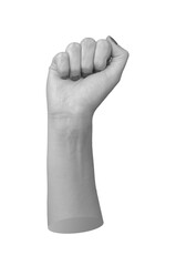 clenched fist raised in a gesture of protest and unity, symbolizing strength and social activism.