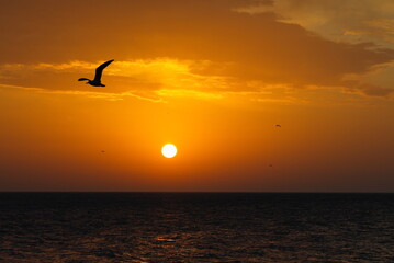 Russia. Republic of Dagestan. Early sunny morning on the deserted city embankment of Makhachkala.