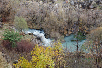 Wild river waterfall in mountain forest