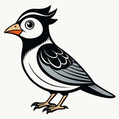 Fototapeta premium detailed vector illustration of a small bird
