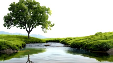 A serene landscape featuring a single tree by a calm stream and lush greenery against a white background.