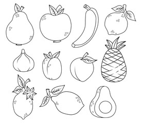 Outline fruit collection. Seasonal tropical citrus Lemon and lime, pineapple, banana, apple and pear, fig, avocado, apricot and plum. Isolated linear drawing, coloring book. Vector illustration