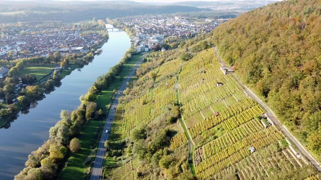 Drohne fliegt &uuml;ber herbstlichen Weinberg in Steillage mit Stadt Erlenbach am Main, Luftaufnahme