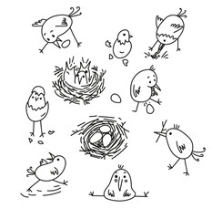 funny birds, building a nest, laying eggs, black outline doodle, sketch