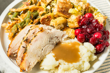 Thanksgiving Turkey Dinner Plate with Potatoes