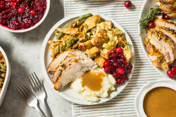 Thanksgiving Turkey Dinner Plate with Potatoes