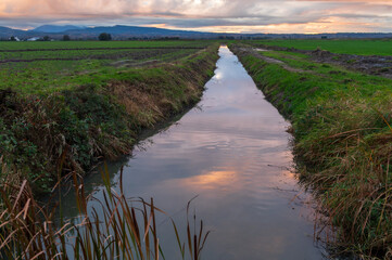 Dawn in the Fir Island Farm Reserve over an irrigation canal. In the middle of the Skagit Wildlife Area this irrigation ditch provides habitat for migrating birds and other local resident species.