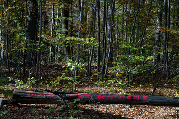 Do not cross because of the nature - save the environment & be sustainable